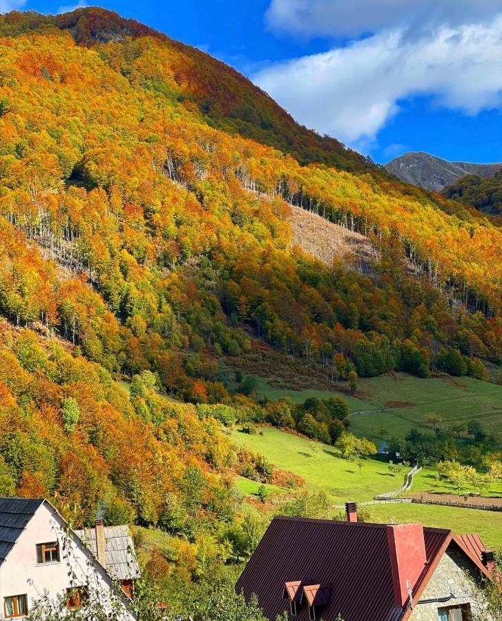 Guesthouse Alpini Lepushe Luaran gambar